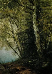 Studio di faggi, 1872