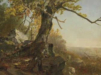 Albero in un paesaggio