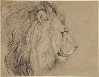 Leone