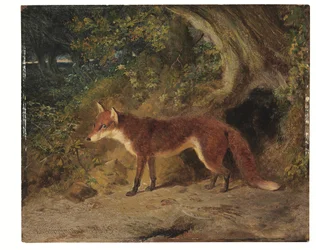 La volpe rossa