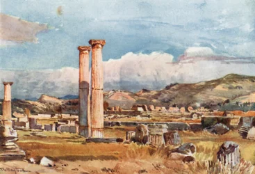 Olimpia. La Palestra e i resti del Tempio di Zeus