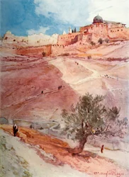 Muro sud di Gerusalemme dall