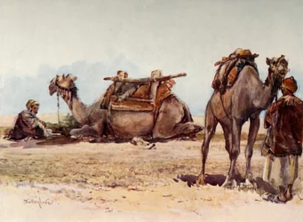 Studio di cammelli e attendenti, 1902