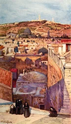 Il Monte degli Ulivi da un tetto sul Monte Sion, 1902