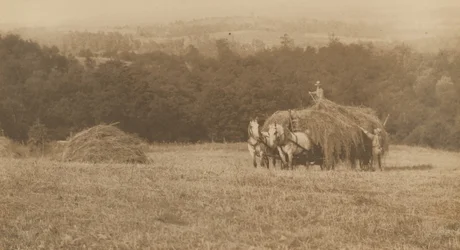 Caricamento del fieno, 1890-1900 (foto)
