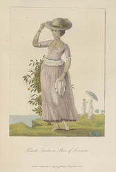 Schiava quadroon del Suriname