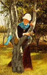 Tra gli alberi