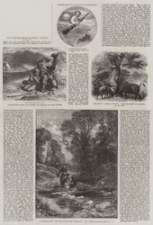 Illustrazioni da Baldwin