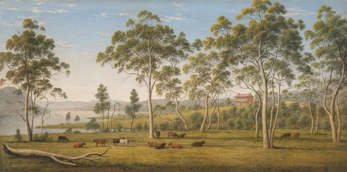 La casa di Mr Robinson sul Derwent, nella Terra di Van Diemen