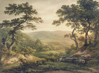 Foresta di Needlewood, Hampshire