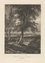Windsor dalla foresta, Berks
