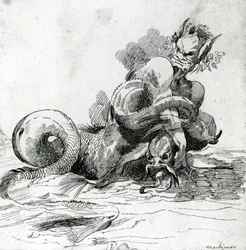 Illustrazione di un mostro marino, XVIII secolo