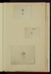 Disegni per il manoscritto