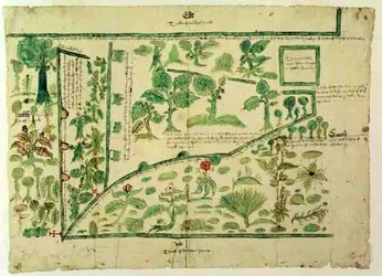 Mappa che mostra parte del maniero di Shawe, Berkshire, Inghilterra