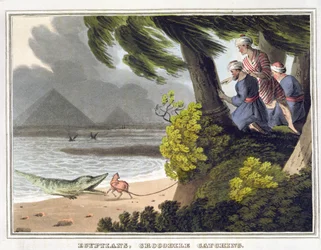 Cattura di coccodrilli egiziani, inciso da Matthew Dubourg (fl.1785-1820), pubblicato da Edward Orme