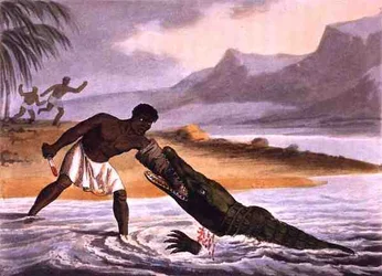 I cacciatori di coccodrilli africani, inciso da Matthew Dubourg (fl.1785-1820), pubblicato da Edward Orme