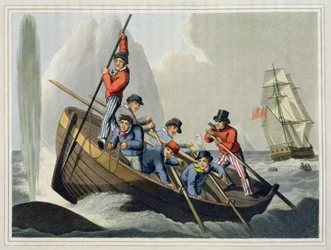 Una barca di una nave che attacca una balena, inciso da Matthew Dubourg, pubblicato da Edward Orme, 1813
