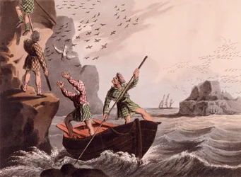 Cattura degli uccelli dal basso da Foreign Field Sports, pubblicato da Edward Orme