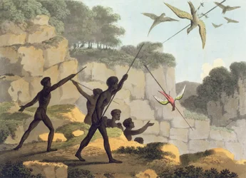 Lancio della lancia, aborigeni che cacciano uccelli dal Nuovo Galles del Sud inciso da Matthew Dubourg (f.1813-1820) pub. 1813