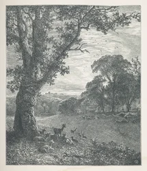 Cervi intorno a un albero, Nature Pictures, Una serie di trenta illustrazioni originali disegnate su legno da J. H. Dell, e incise da R. Paterson