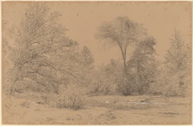 Paesaggio, inizio primavera