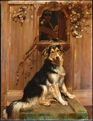 Un Cane e uno Specchio