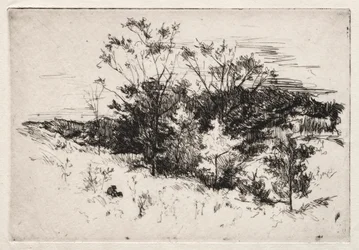 Paesaggio autunnale, 1879-80