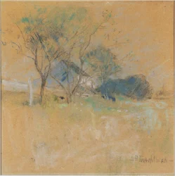 Casa e albero