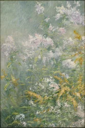 Fiori di prato (Verga d
