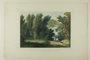 Vista del luogo dove cadde il generale Ross, vicino a Baltimora, tavola sei del primo numero di Vedute pittoresche del paesaggio americano