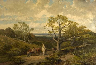 Veduta nella foresta di Sherwood, Nottinghamshire