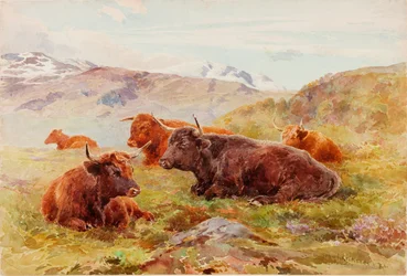 Paesaggio delle Highlands con bestiame