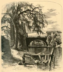Ponte di Main-Street, Hartford, 1874