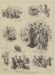 Schizzi alla mostra delle capre all