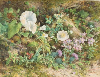Studio di fiori, 1866