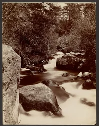 Boulder Creek, altopiano dell