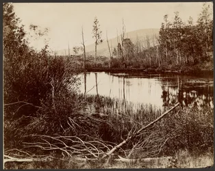 Lago Morain, Acquario PLateau