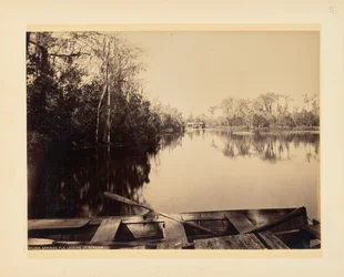 Silver Springs, Florida, vista verso monte