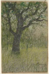 Paesaggio