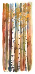 Betulle in autunno, 2013