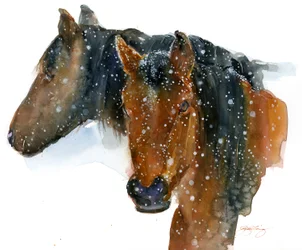 Cavalli in inverno