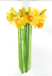 Mazzo di narcisi