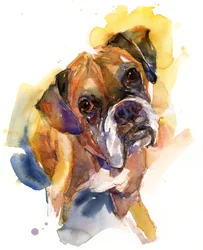 Ritratto di Stanley