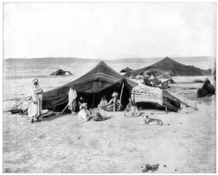 Campo di carovane, Deserto del Sahara, fine XIX secolo