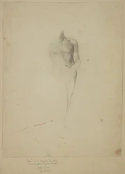 Cupido; Studio dopo
