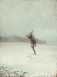 Tempesta di neve 1865