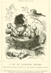 Un Pezzo di Natura Animata, Il Cuculo Protezionista nel Nido del Passero