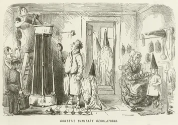 Regolamenti sanitari domestici