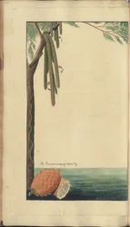 Una pagina da 