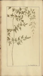 Una pagina da 